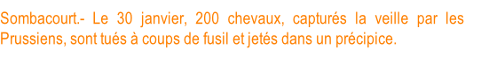 Sombacourt.- Le 30 janvier, 200 chevaux, capturés la veille par les Prussiens, sont tués à coups de fusil et jetés dans un précipice.